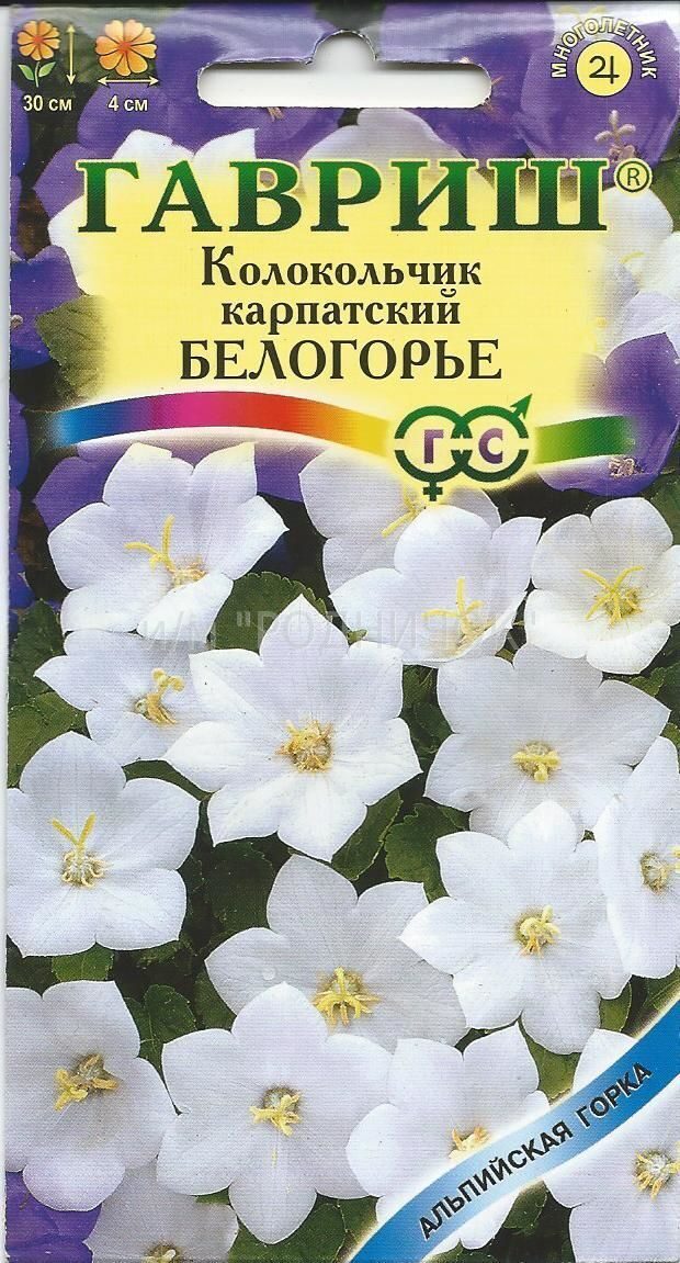 Семена колокольчиков многолетних. Колокольчик Карпатский Белогорье "Гавриш". Колокольчик Карпатский Белогорье. Колокольчик Карпатский синий Гавриш. Колокольчик Карпатский Гавриш.