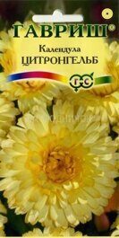 Календула Цитронгельб